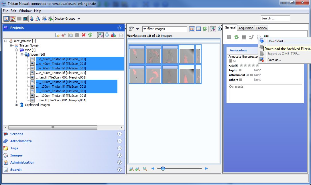 omero-insight-download-multiple-files.jpg