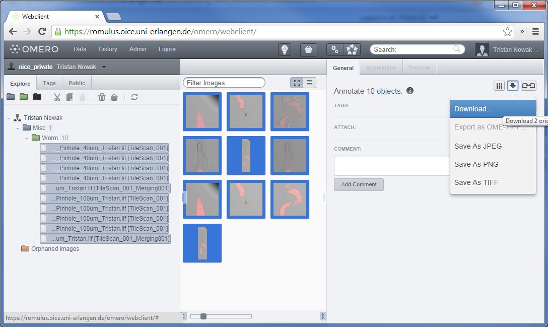 omero-web-download-multiple-files.jpg