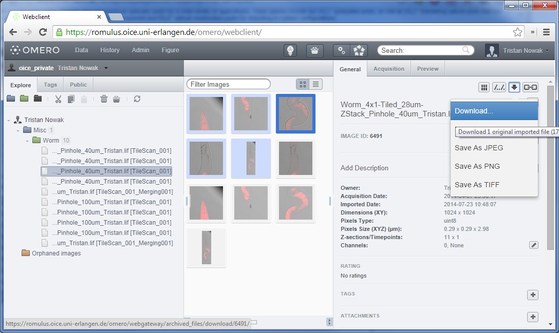 omero-web-download-single-file.jpg
