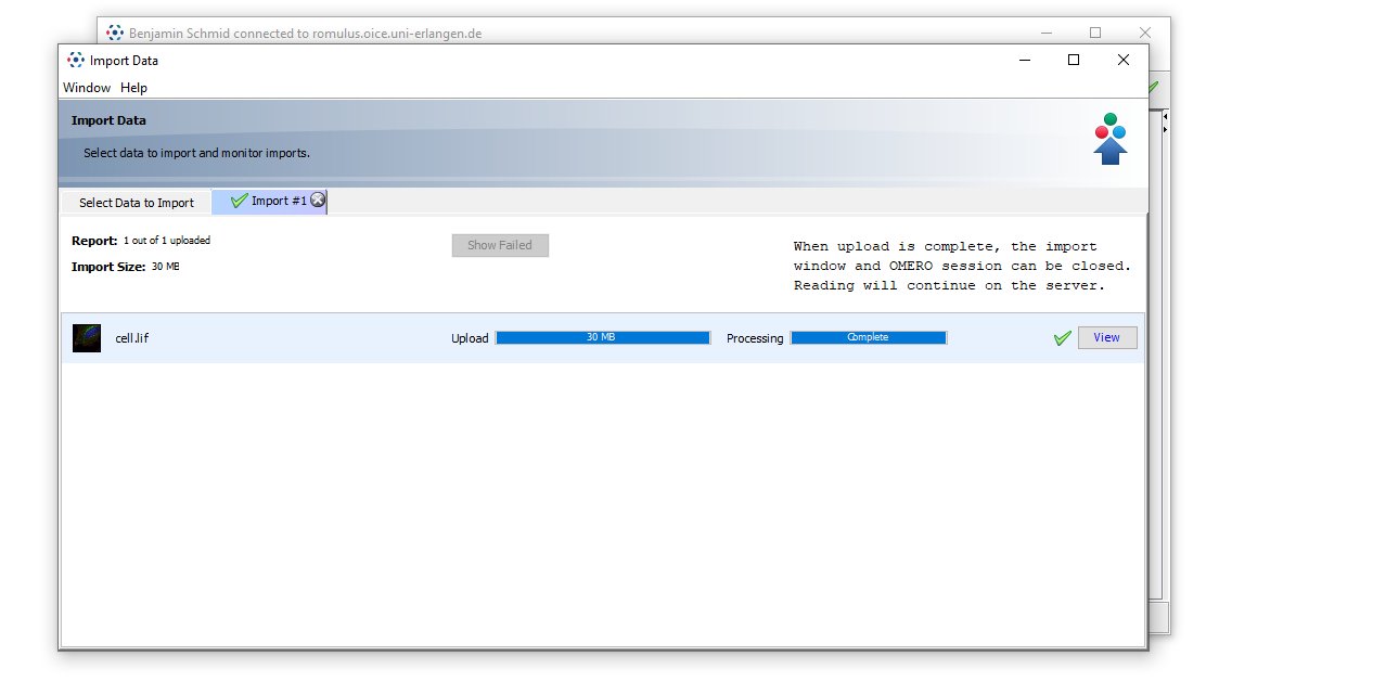 omero.insight.7.jpg
